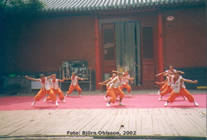 Shaolinmunkar demonstrar former